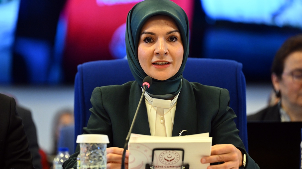 Bakan Gkta: 6284 sayl Kanun, kadna ynelik iddetle mcadelenin bir st seviyeye tandnn en nemli gstergesidir