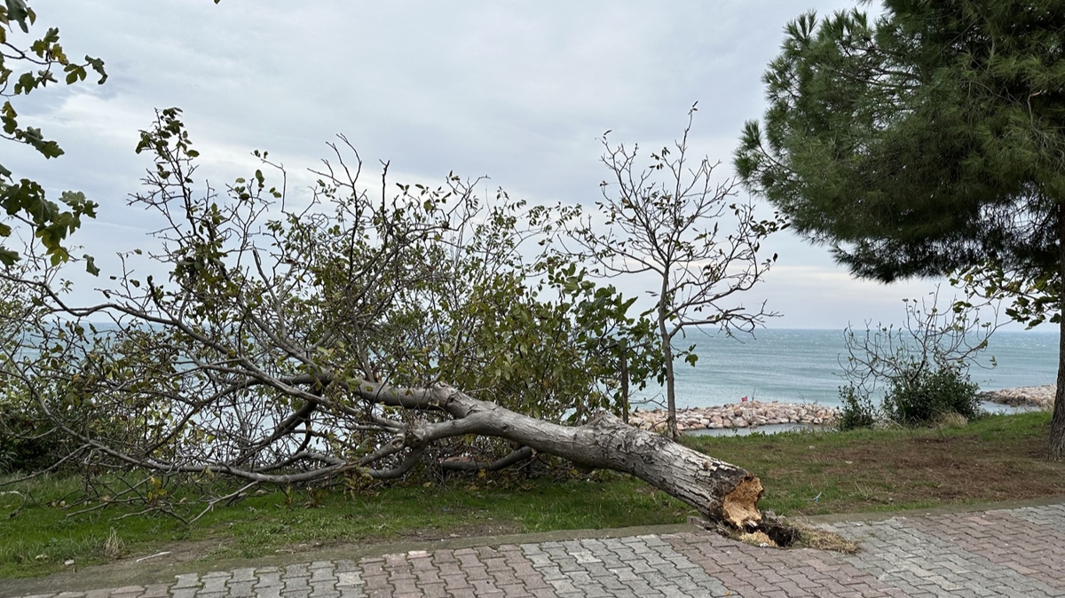 Denizlerde frtna uyars