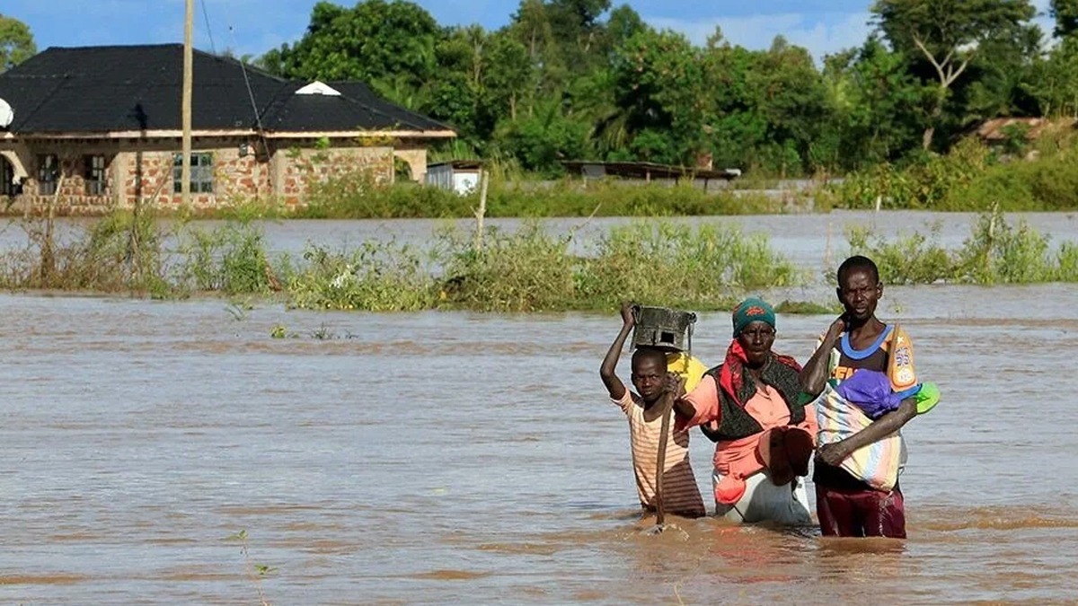 Kenya'da sel facias: l says 70'e kt