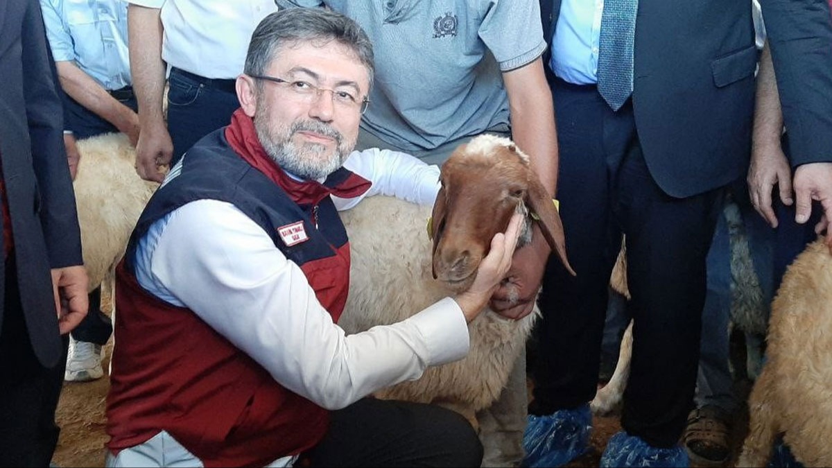 Bakan Yumakl: 2023'te hayvanclk destekleri yzde 150 orannda artt