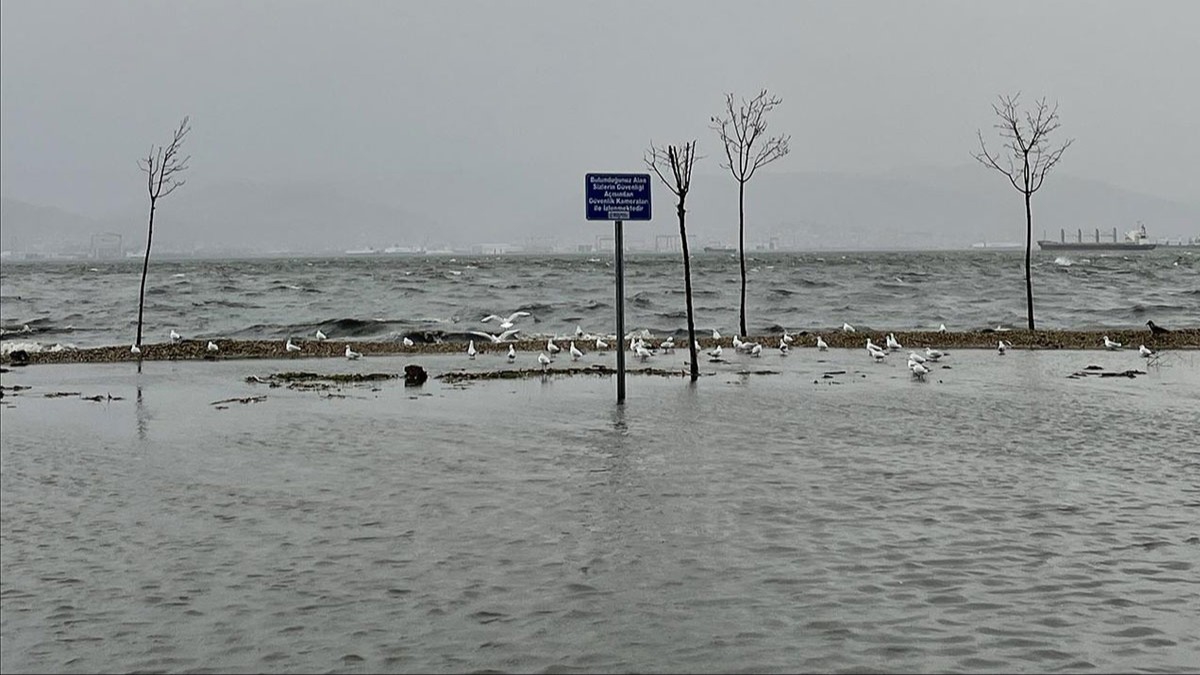Kocaeli'de iddetli lodos denizi tard sahil band suyla doldu