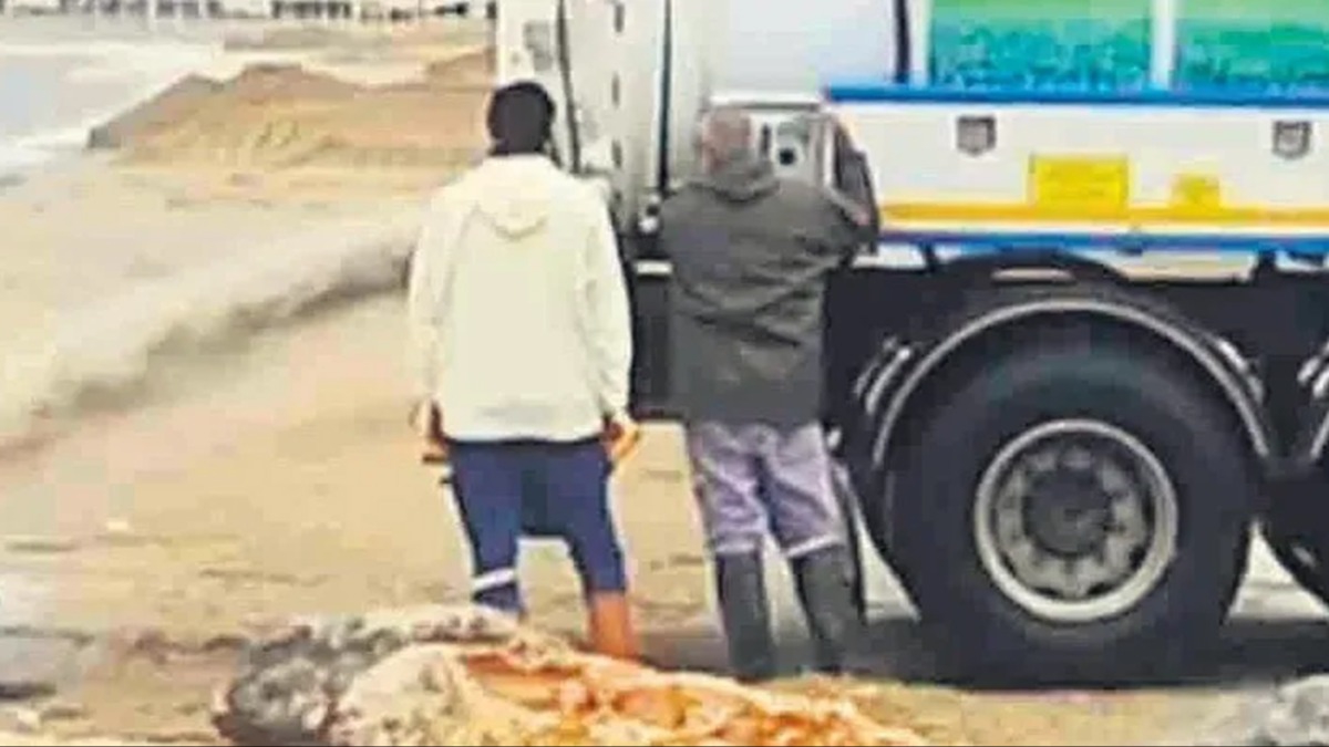 Burhaniye Belediyesi'nden evre katliam! Skandal byle grntlendi