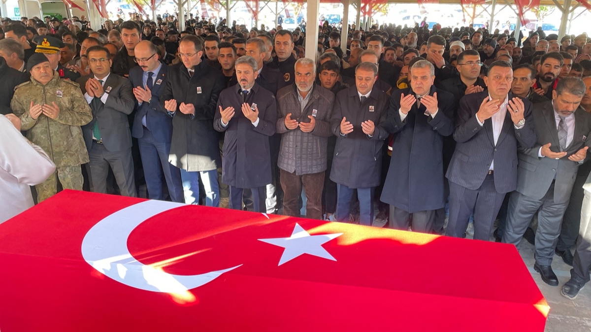 anlurfal ehide son veda 