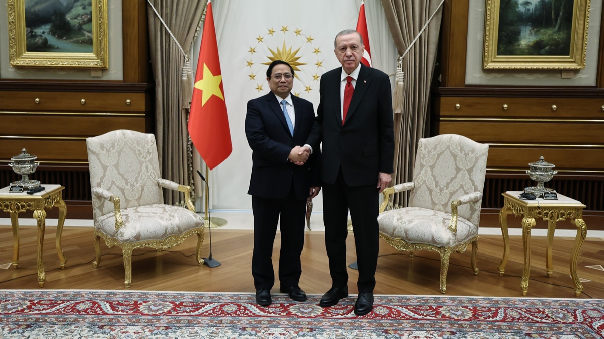 Cumhurbakan Erdoan, Vietnam Babakan Chinh'i kabul etti