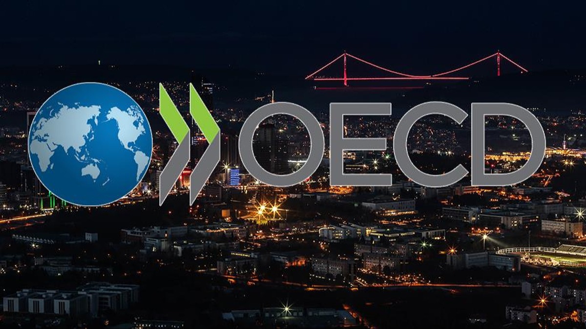 OECD'den Trkiye tahmini