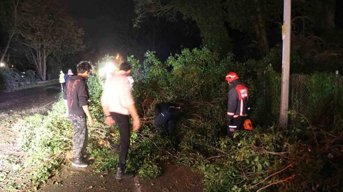 iddetli frtnann etkisiyle turistlik ile zarar grd