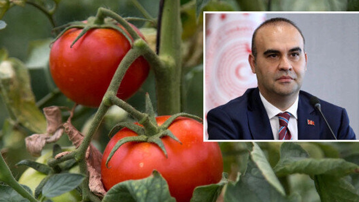 Bakan Kacr duyurdu: Trkiye'nin 15. AB corafi iaretli rn 