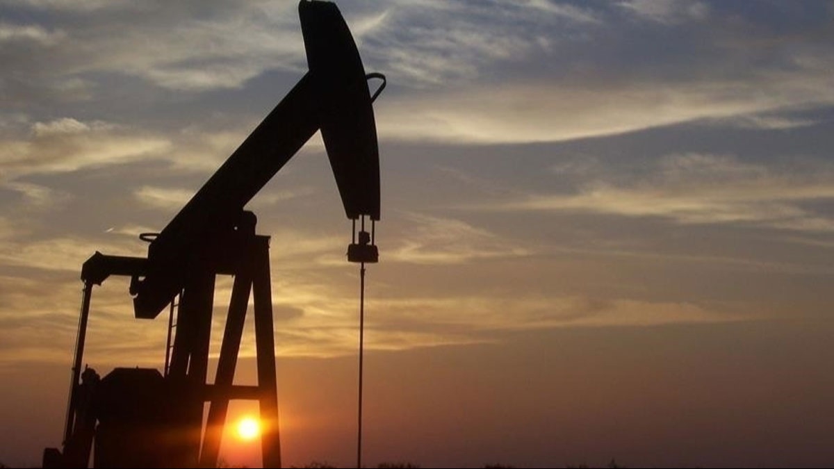 Brezilya, OPEC+ ittifakna katlyor