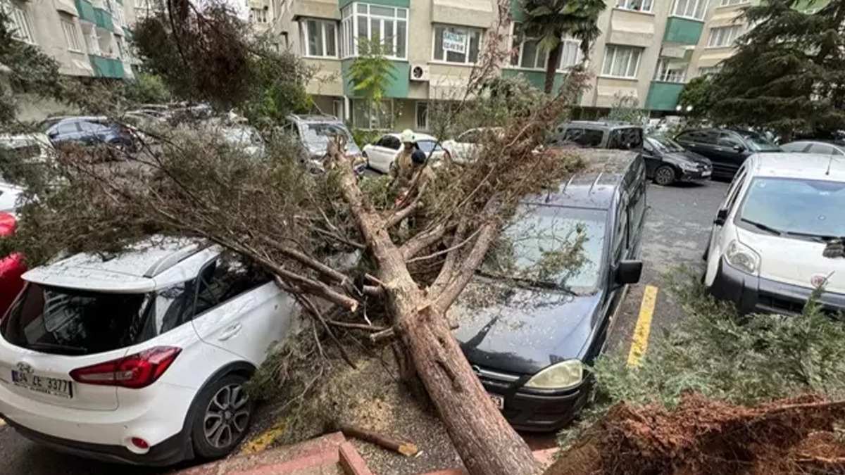 stanbul'daki frtnann bilanosu akland