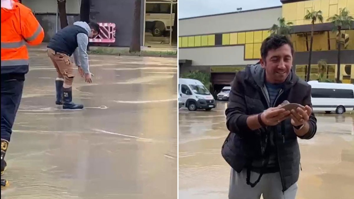Yalova'da dere tat! Biriken suda balk tuttular
