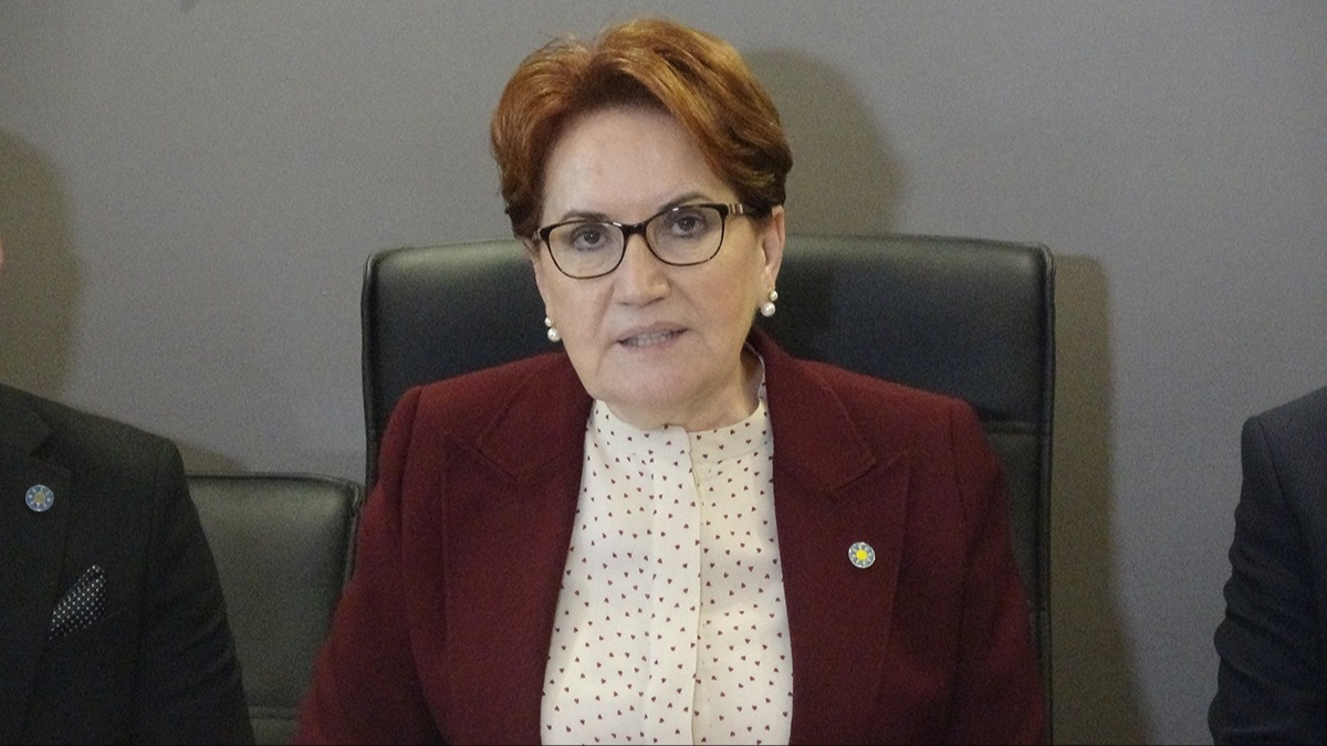 İYİ Parti'de kazan kaynıyor! Meral Akşener'i yok sayıp, 'evet' dediler