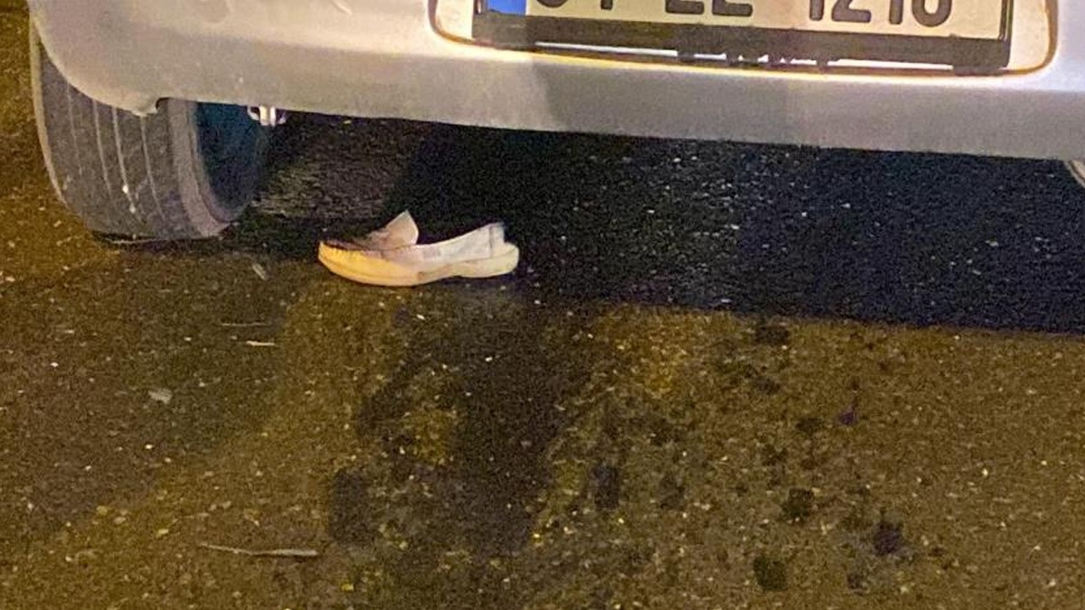 Kardan karya gemek isterken canndan oldu  
