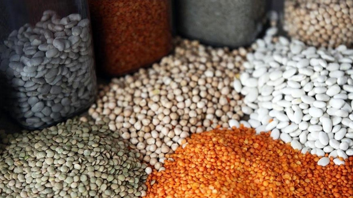 T�rk hububat sekt�r� 11 ayl�k d�nemde 11,3 milyar dolarl�k ihracat ger�ekle�tirdi