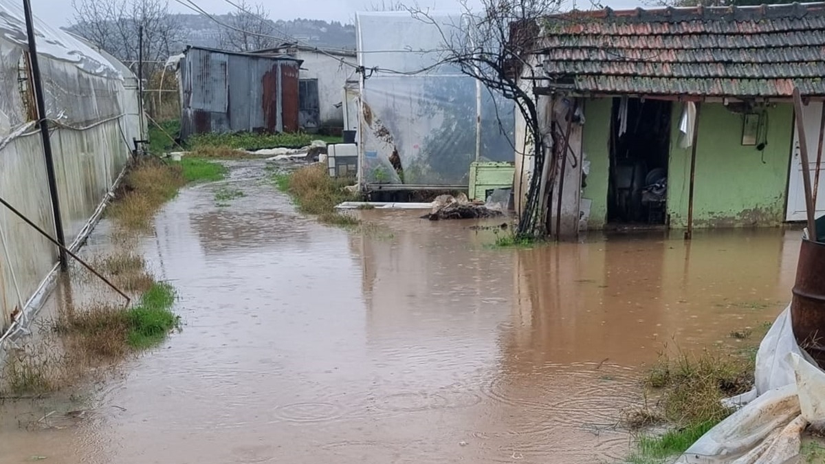 Yalova'da dere tat: Sokak ve evleri su bast 