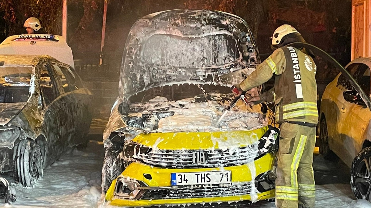 Park halindeki 2 araç, çıkan yangında kullanılamaz hale geldi