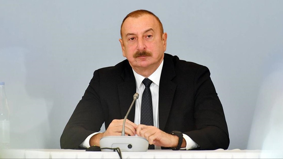 YAP seçimde İlham Aliyev'i aday gösterecek