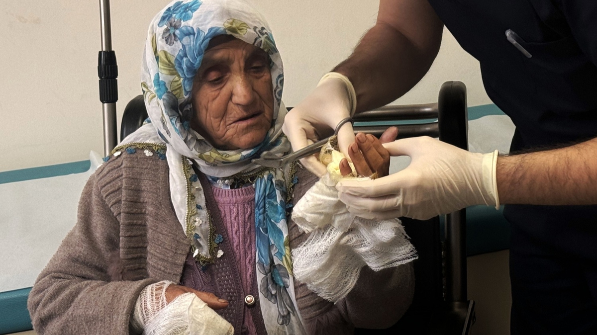 Kpekler 79 yandaki kadna saldrd