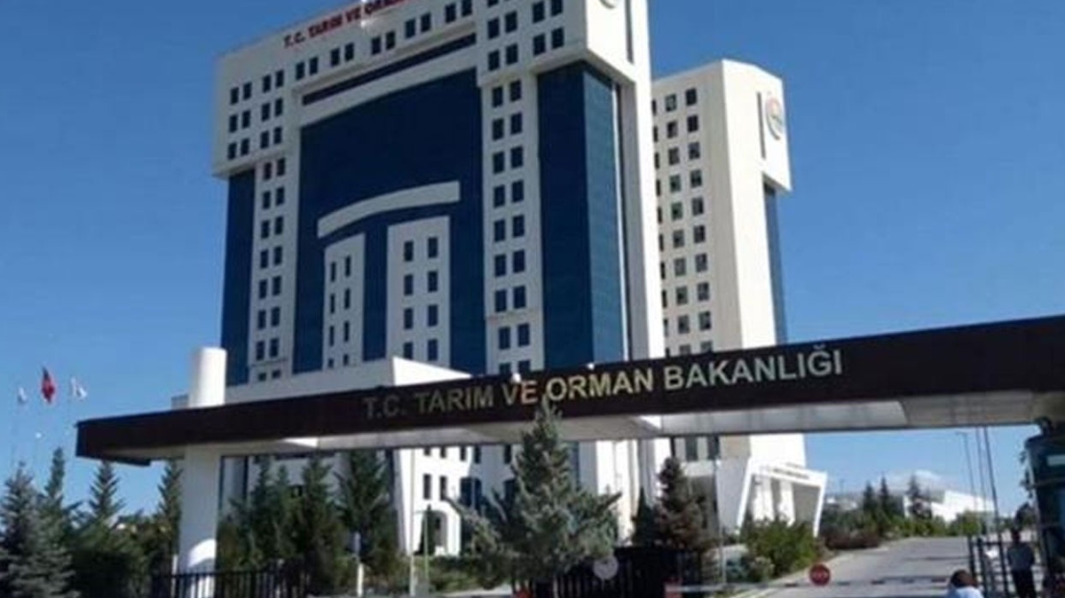 artlar akland! Tarm ve Orman Bakanl 158 uzman yardmcs alacak