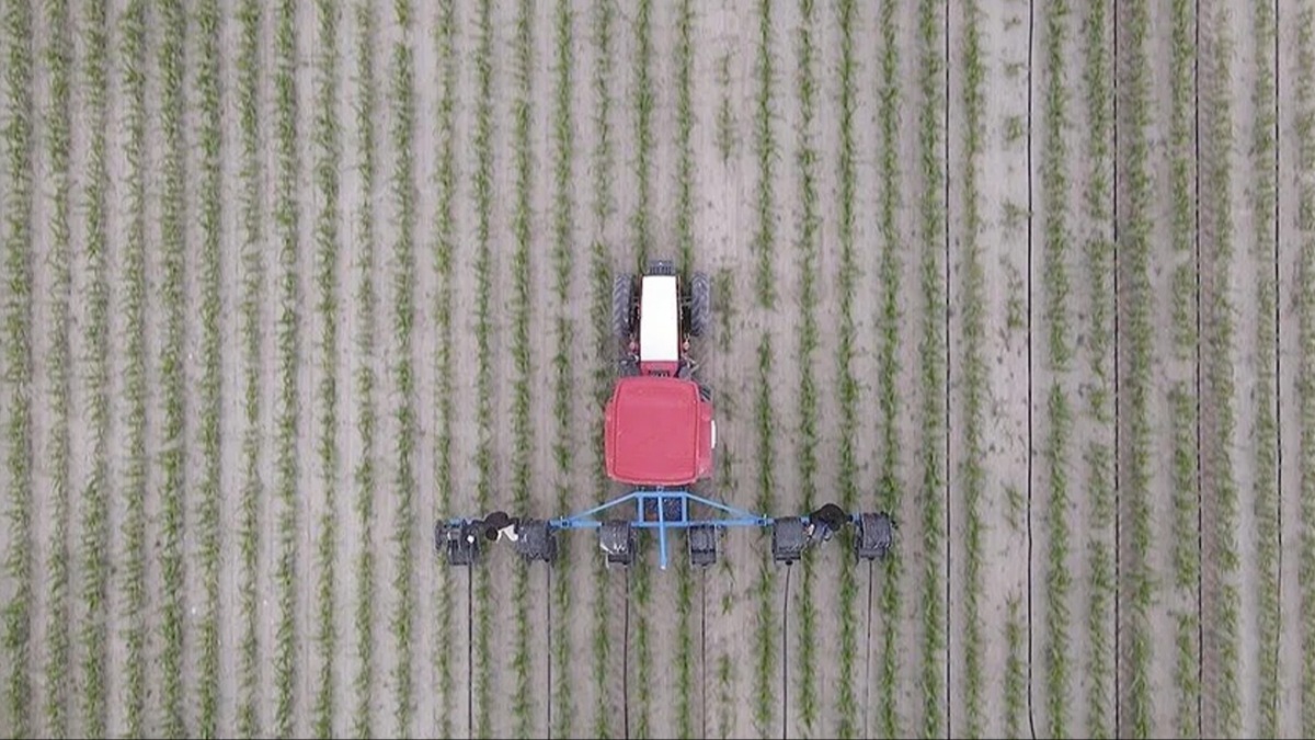 81 ilimizde yap�lacak! 66 milyon avro tutar�nda hibe verilecek