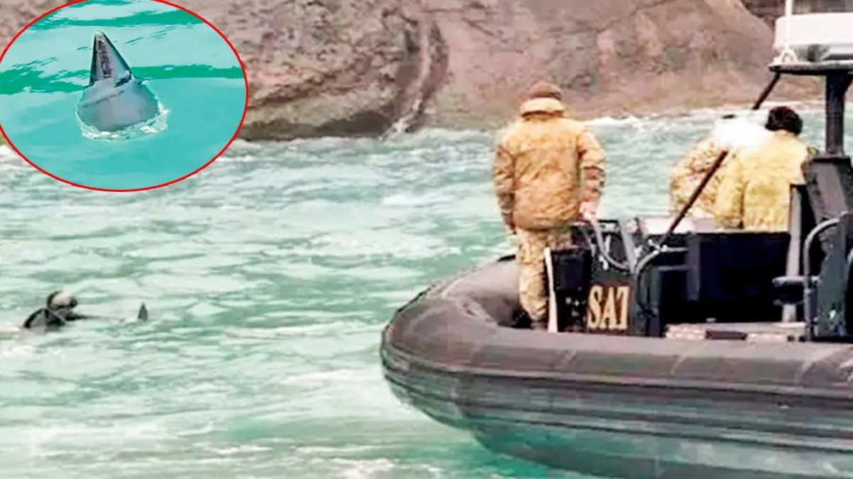 Sahilde panik! ASELSAN incelemeye ald�