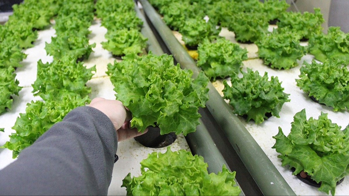 Ticarile�menin �n� a��lacak! Tar�msal at�klar i�i yeni d�nem