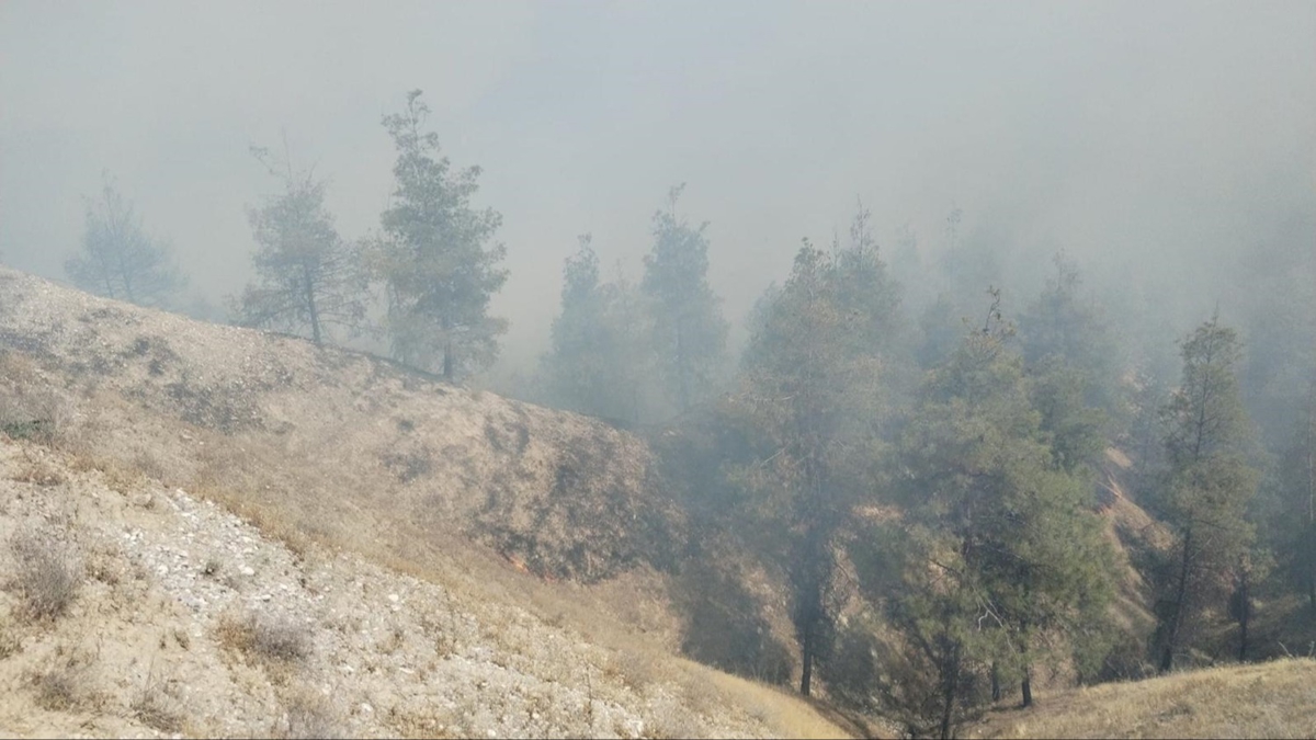 Denizli'de orman yang�n�! �ok say�da ekip sevk edildi