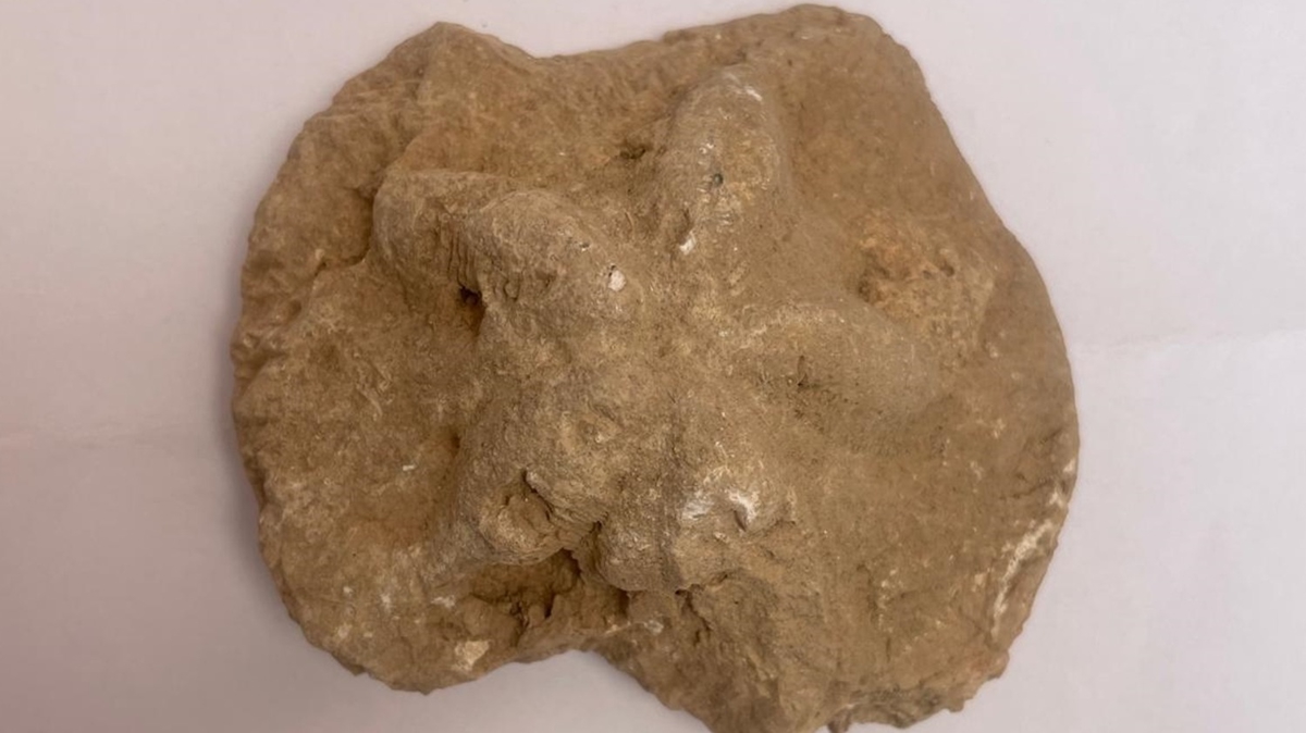 1500 y�ll�k kilise kal�nt�s�nda yap�lan kaz�larda bulundu