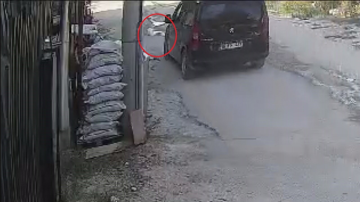 Vicdanlar� s�zlatan g�r�nt�ler! Su i�en kediyi ezerek �ld�rd�