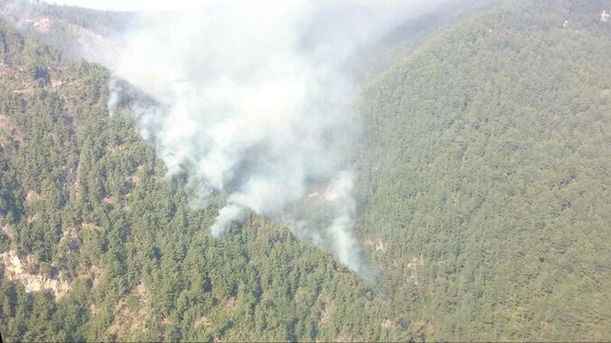 PKK/YPG'den orman yakma talimat� alan ter�riste hapis cezas�